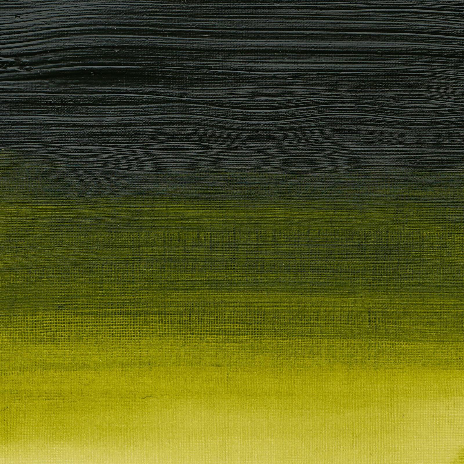 Winsor & Newton - 200ml Permanent Sap Green - Professional Acrylic